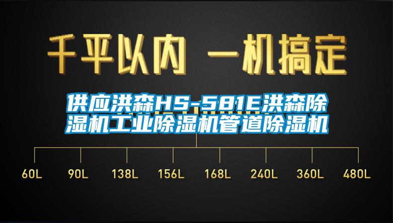 供應(yīng)洪森HS-581E洪森除濕機工業(yè)除濕機管道除濕機