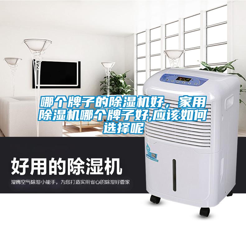 哪個(gè)牌子的除濕機(jī)好，家用除濕機(jī)哪個(gè)牌子好,應(yīng)該如何選擇呢