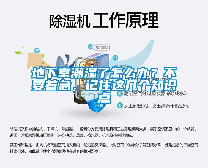 地下室潮濕了怎么辦？不要著急，記住這幾個(gè)知識(shí)點(diǎn)