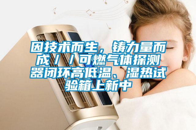 因技術(shù)而生，鑄力量而成／／可燃?xì)怏w探測(cè)器閉環(huán)高低溫、濕熱試驗(yàn)箱上新中