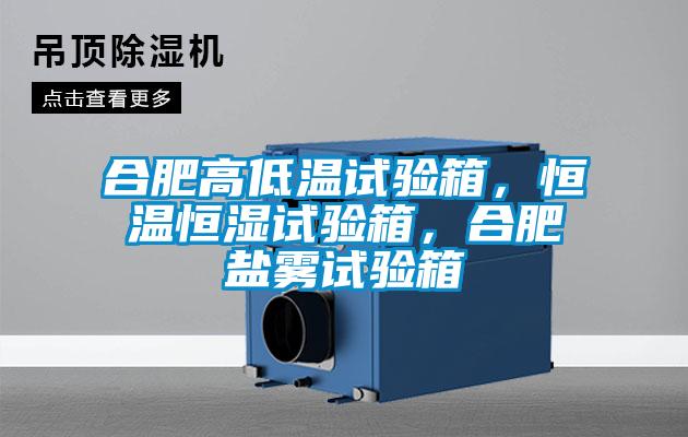 合肥高低溫試驗(yàn)箱，恒溫恒濕試驗(yàn)箱，合肥鹽霧試驗(yàn)箱