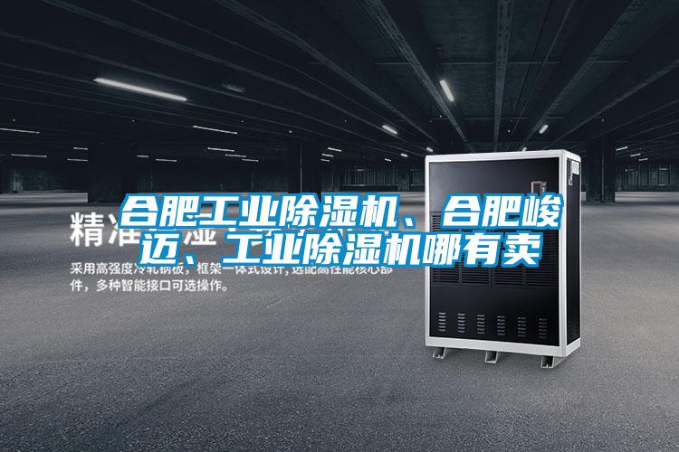 合肥工業(yè)除濕機(jī)、合肥峻邁、工業(yè)除濕機(jī)哪有賣