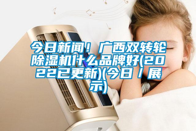 今日新聞！廣西雙轉(zhuǎn)輪除濕機(jī)什么品牌好(2022已更新)(今日／展示)