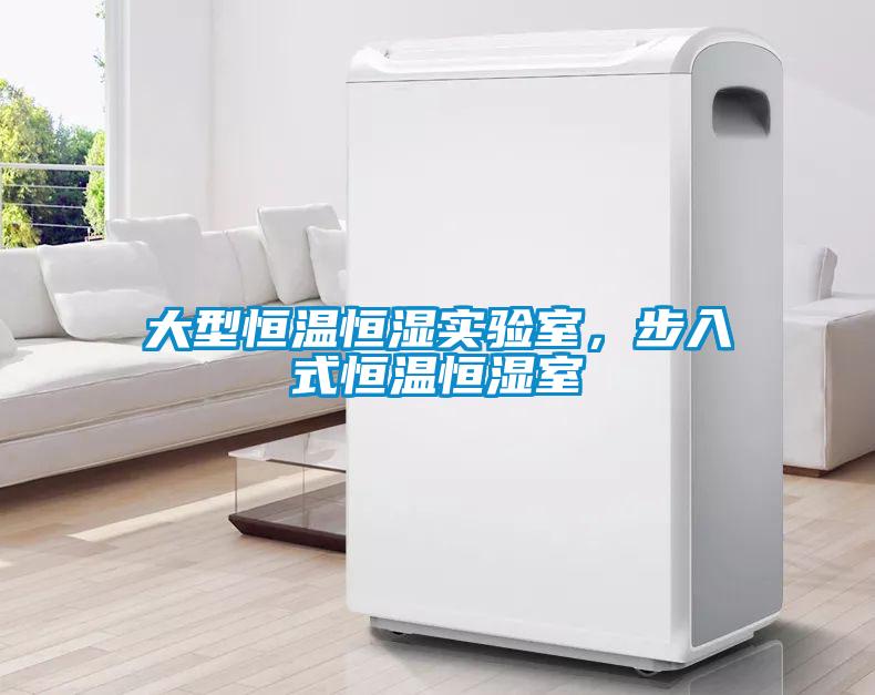 大型恒溫恒濕實(shí)驗(yàn)室，步入式恒溫恒濕室