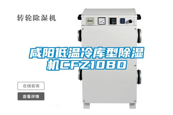 咸陽低溫冷庫(kù)型除濕機(jī)CFZ10BD