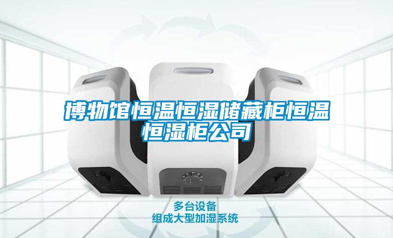 博物館恒溫恒濕儲藏柜恒溫恒濕柜公司
