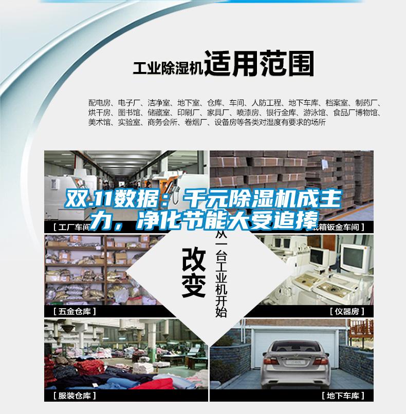 雙.11數(shù)據(jù)：千元除濕機(jī)成主力，凈化節(jié)能大受追捧