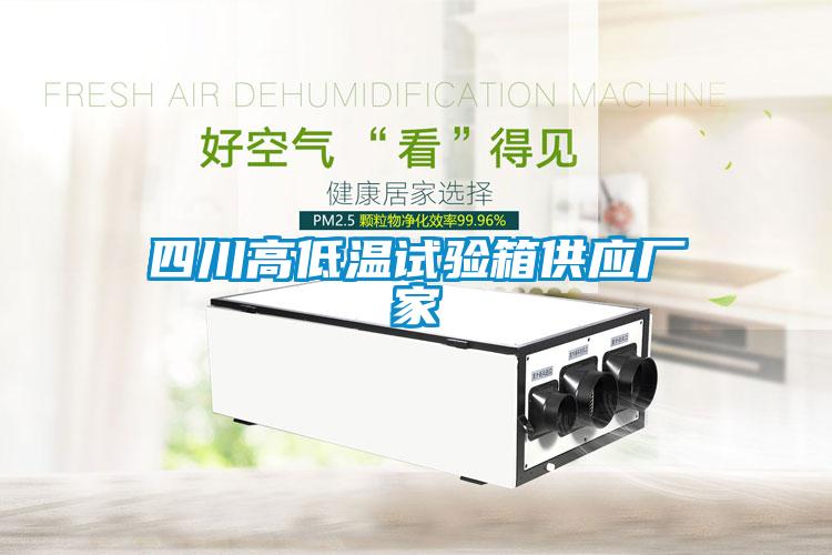 四川高低溫試驗(yàn)箱供應(yīng)廠家