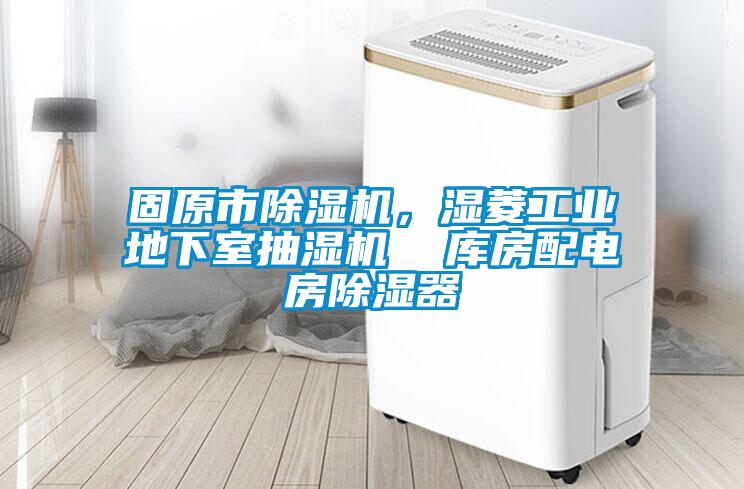 固原市除濕機(jī)，濕菱工業(yè)地下室抽濕機(jī)  庫房配電房除濕器