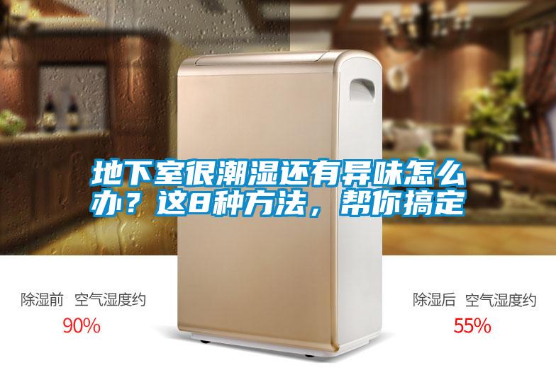 地下室很潮濕還有異味怎么辦？這8種方法，幫你搞定
