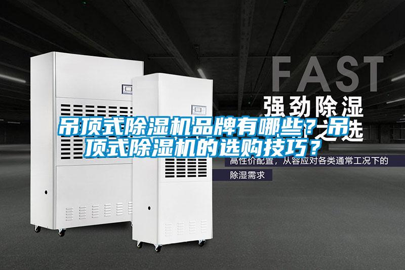 吊頂式除濕機品牌有哪些？吊頂式除濕機的選購技巧？