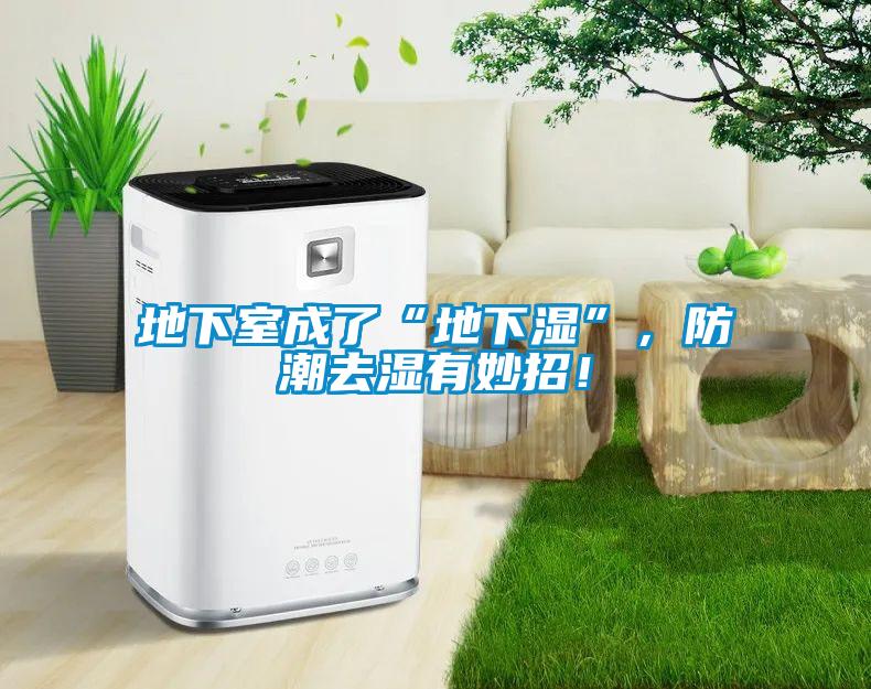 地下室成了“地下濕”，防潮去濕有妙招！
