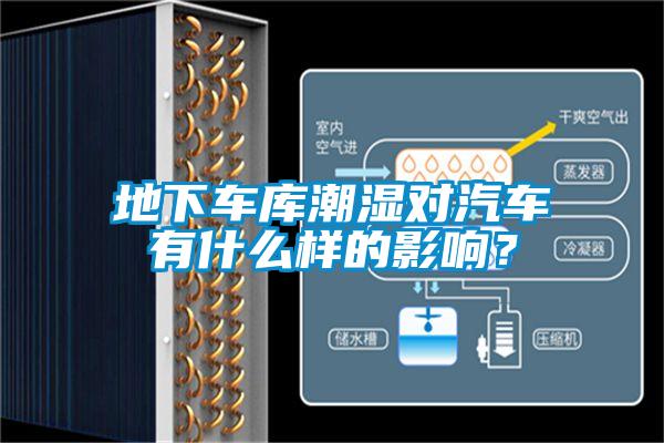 地下車庫潮濕對汽車有什么樣的影響？