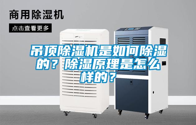 吊頂除濕機(jī)是如何除濕的？除濕原理是怎么樣的？