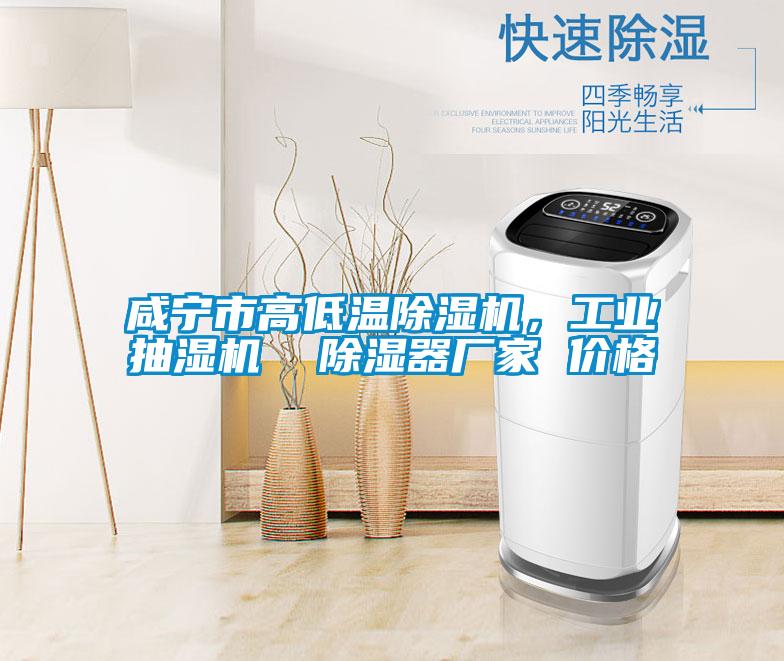咸寧市高低溫除濕機(jī)，工業(yè)抽濕機(jī)  除濕器廠家 價(jià)格