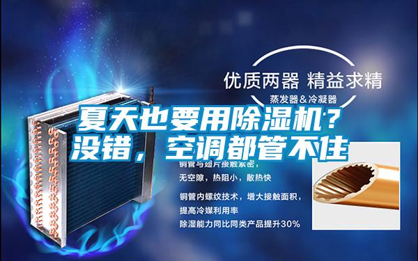 夏天也要用除濕機(jī)？沒(méi)錯(cuò)，空調(diào)都管不住