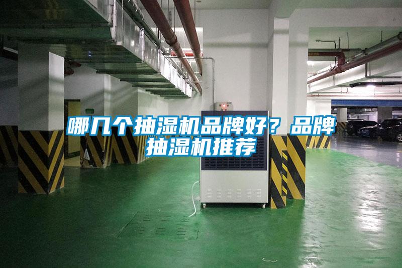 哪幾個(gè)抽濕機(jī)品牌好？品牌抽濕機(jī)推薦