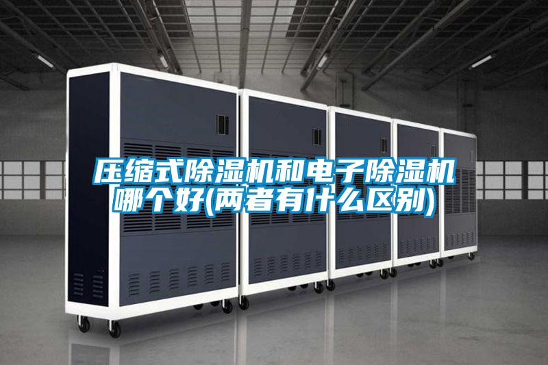壓縮式除濕機(jī)和電子除濕機(jī)哪個好(兩者有什么區(qū)別)