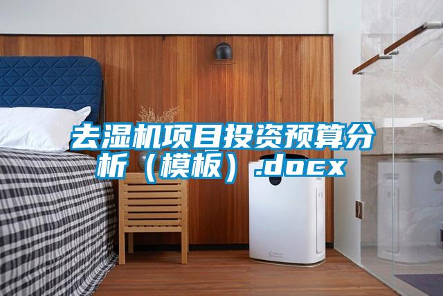 去濕機項目投資預(yù)算分析（模板）.docx