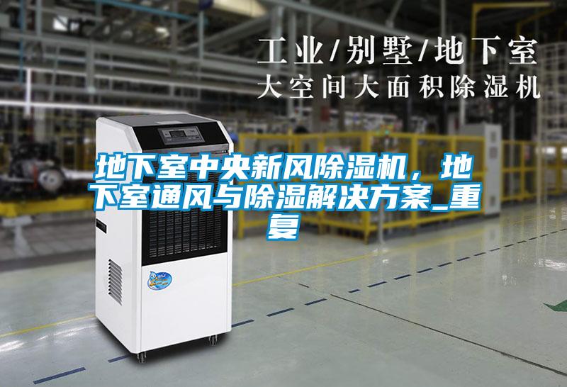 地下室中央新風(fēng)除濕機(jī)，地下室通風(fēng)與除濕解決方案_重復(fù)