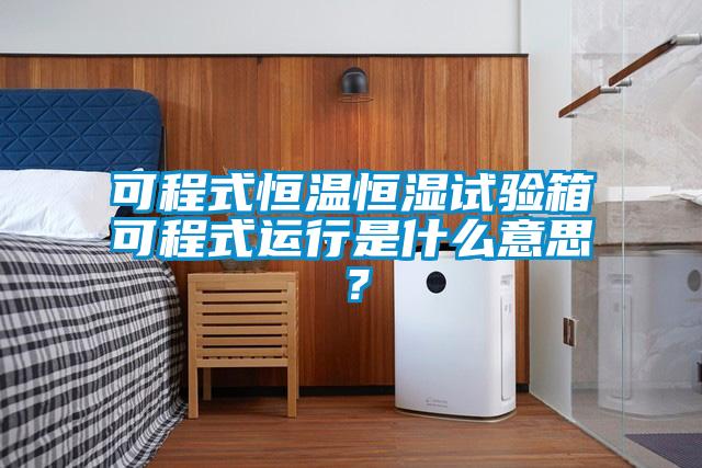 可程式恒溫恒濕試驗(yàn)箱可程式運(yùn)行是什么意思？