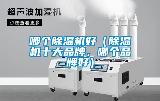 哪個(gè)除濕機(jī)好（除濕機(jī)十大品牌，哪個(gè)品牌好）