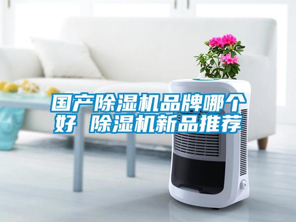 國產(chǎn)除濕機(jī)品牌哪個(gè)好 除濕機(jī)新品推薦