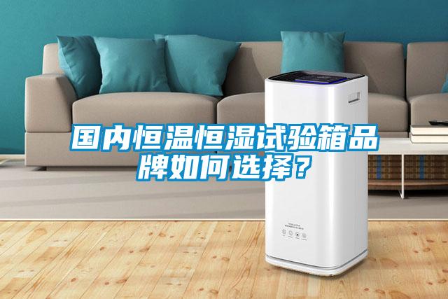 國(guó)內(nèi)恒溫恒濕試驗(yàn)箱品牌如何選擇？