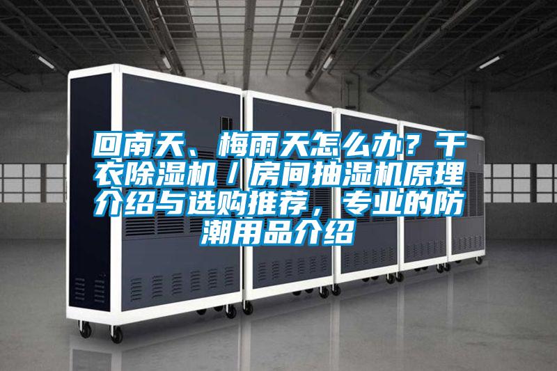回南天、梅雨天怎么辦？干衣除濕機(jī)／房間抽濕機(jī)原理介紹與選購(gòu)?fù)扑]，專業(yè)的防潮用品介紹