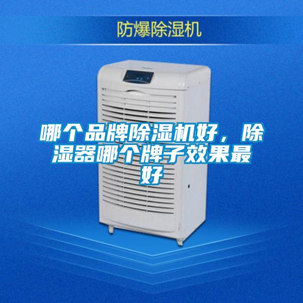 哪個品牌除濕機好，除濕器哪個牌子效果最好