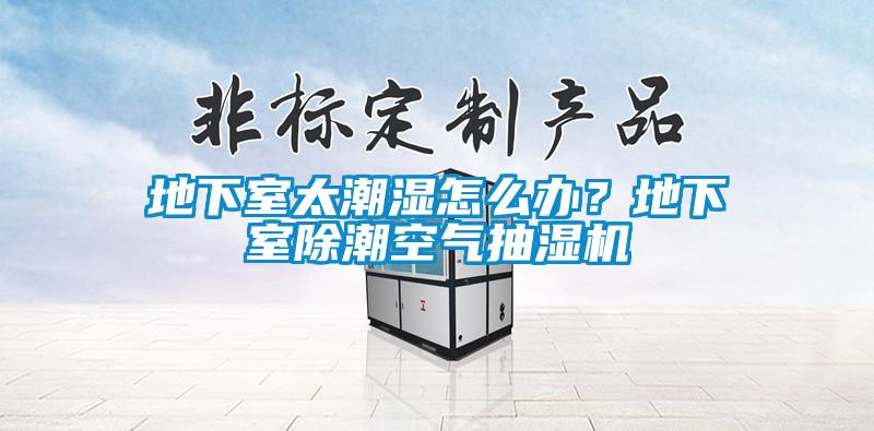 地下室太潮濕怎么辦？地下室除潮空氣抽濕機(jī)