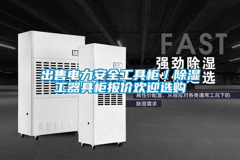 出售電力安全工具柜／除濕工器具柜報(bào)價歡迎選購
