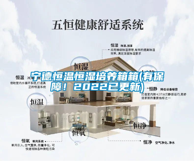 寧德恒溫恒濕培養(yǎng)箱箱(有保障！2022已更新)