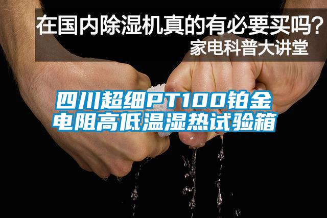 四川超細(xì)PT100鉑金電阻高低溫濕熱試驗(yàn)箱