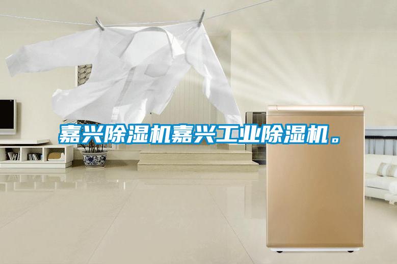 嘉興除濕機(jī)嘉興工業(yè)除濕機(jī)。