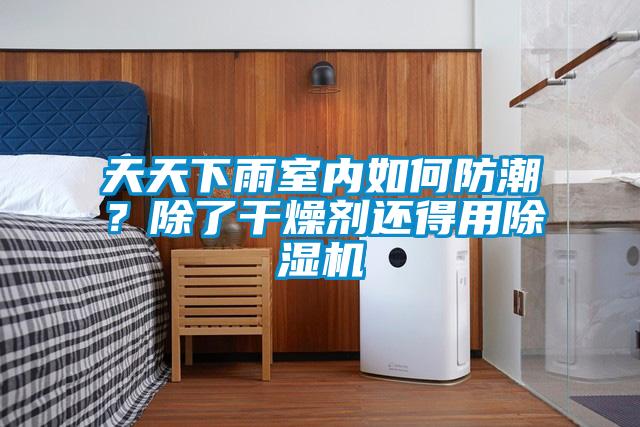天天下雨室內(nèi)如何防潮？除了干燥劑還得用除濕機(jī)