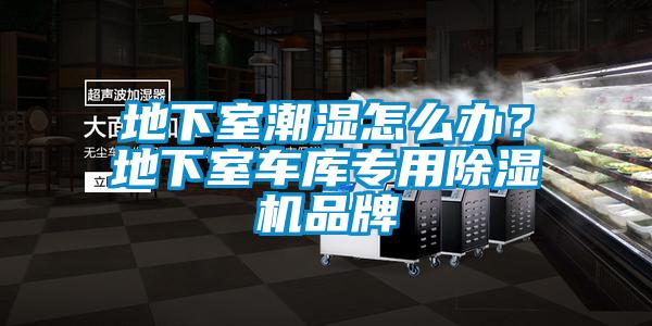 地下室潮濕怎么辦？地下室車庫專用除濕機(jī)品牌
