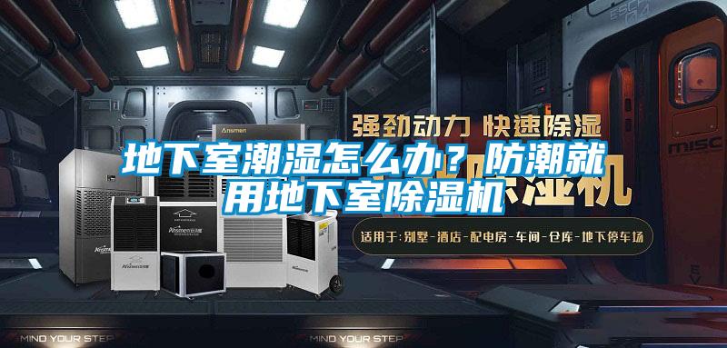 地下室潮濕怎么辦？防潮就用地下室除濕機(jī)
