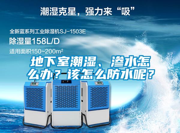 地下室潮濕、滲水怎么辦？該怎么防水呢？