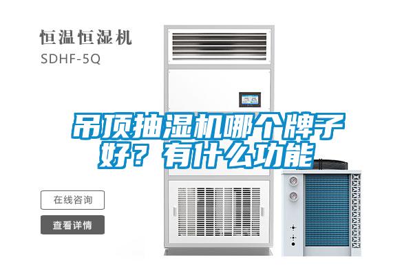 吊頂抽濕機哪個牌子好？有什么功能