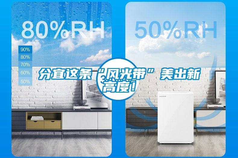 分宜這條“風(fēng)光帶”美出新高度！