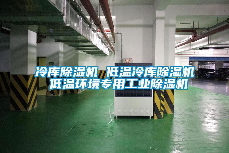 冷庫(kù)除濕機(jī) 低溫冷庫(kù)除濕機(jī) 低溫環(huán)境專用工業(yè)除濕機(jī)