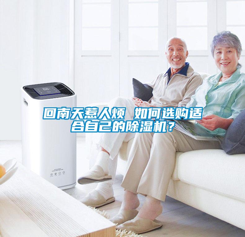 回南天惹人煩 如何選購適合自己的除濕機？