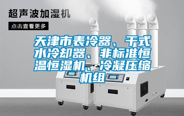 天津市表冷器、干式水冷卻器、非標(biāo)準(zhǔn)恒溫恒濕機(jī)、冷凝壓縮機(jī)組