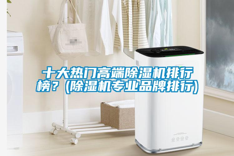 十大熱門高端除濕機排行榜？(除濕機專業(yè)品牌排行)
