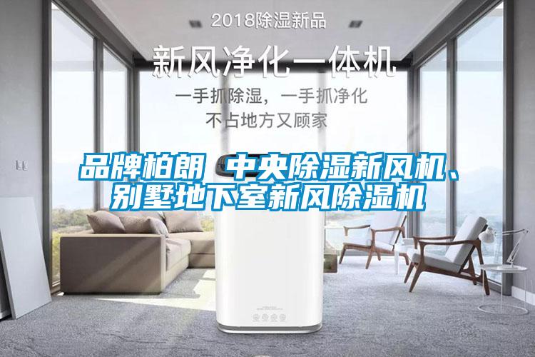 品牌柏朗 中央除濕新風(fēng)機、別墅地下室新風(fēng)除濕機