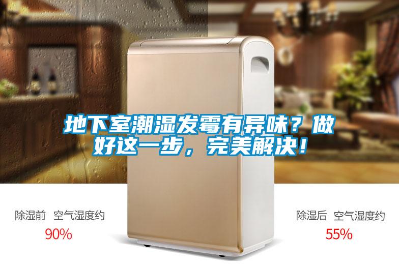 地下室潮濕發(fā)霉有異味？做好這一步，完美解決！
