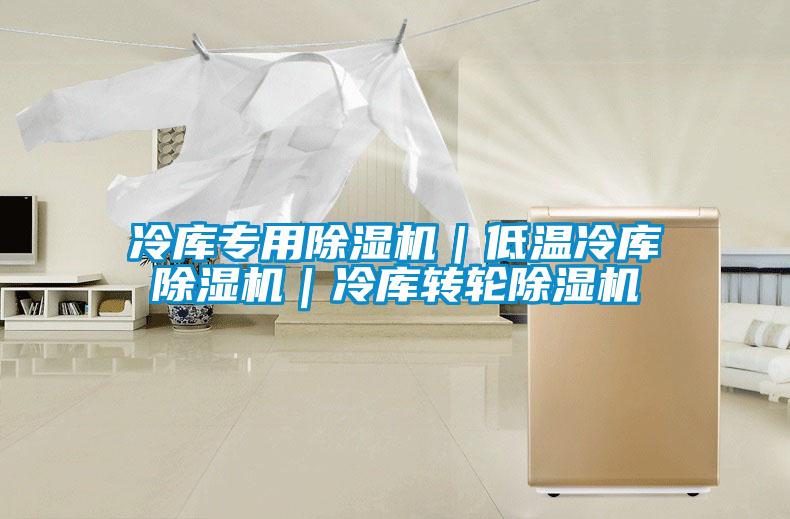 冷庫(kù)專用除濕機(jī)｜低溫冷庫(kù)除濕機(jī)｜冷庫(kù)轉(zhuǎn)輪除濕機(jī)