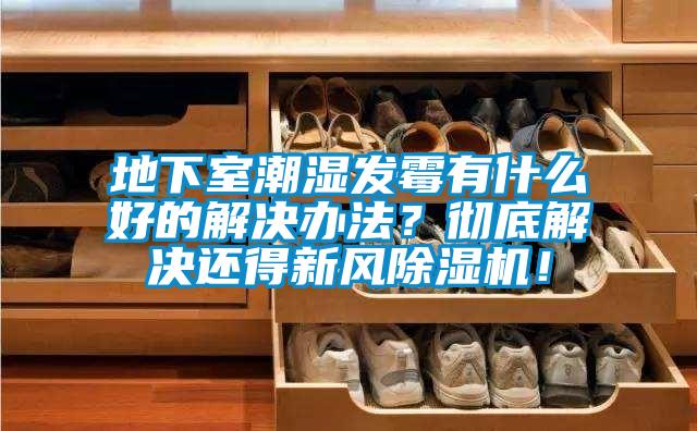 地下室潮濕發(fā)霉有什么好的解決辦法？徹底解決還得新風(fēng)除濕機(jī)！