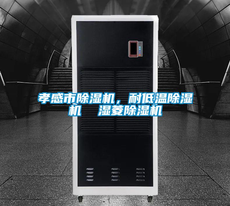孝感市除濕機，耐低溫除濕機  濕菱除濕機